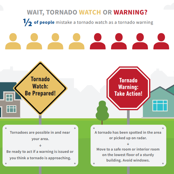 Infographic