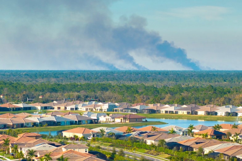 Firewise Image