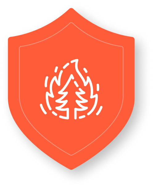 Shield Image